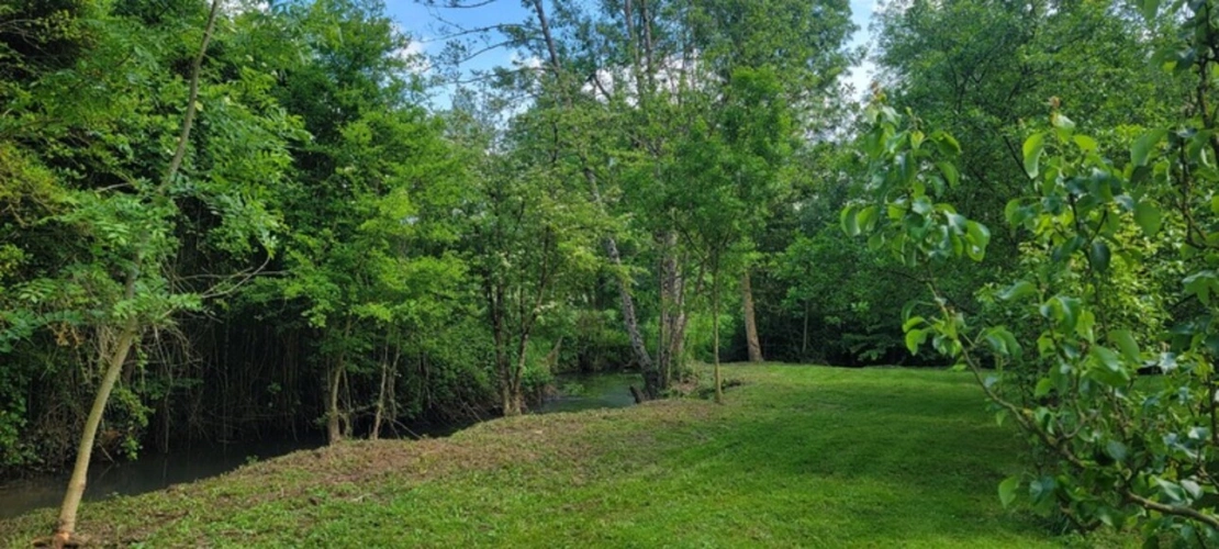 Photos 9 - Foncière - Terrain à vendre   ()
