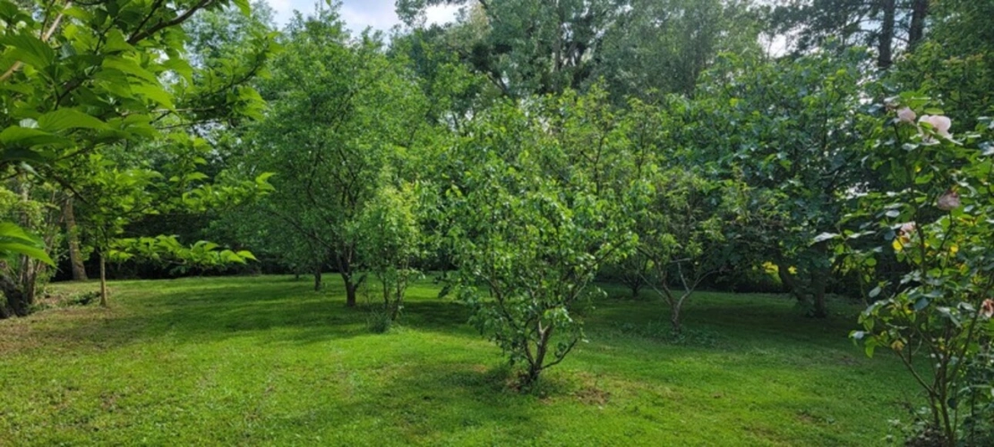 Photos 10 - Foncière - Terrain à vendre   ()