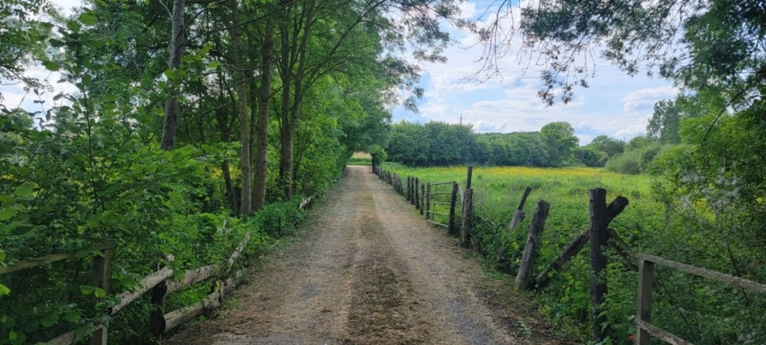 Photos 11 - Foncière - Terrain à vendre   ()