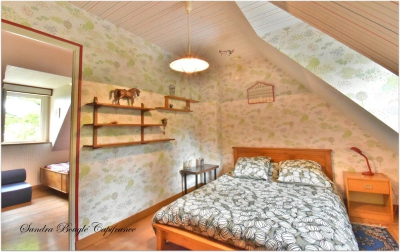 Photos 21 - Prestige - Propriété à vendre 12 pièces BALAZE (35)