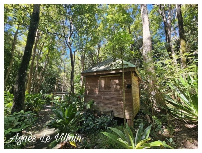 Photos 1 - Touristique - Propriété Maison + 3 Gites sur 5 000 m2 de Forêt