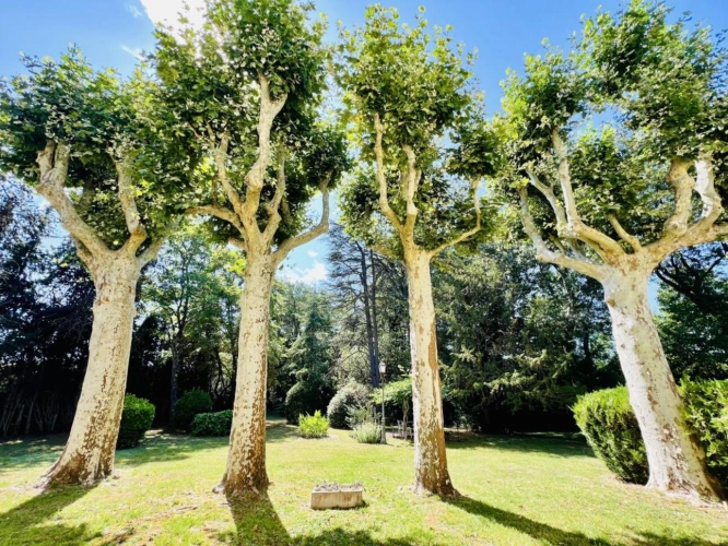 Photos 4 - Touristique - Maison de ville