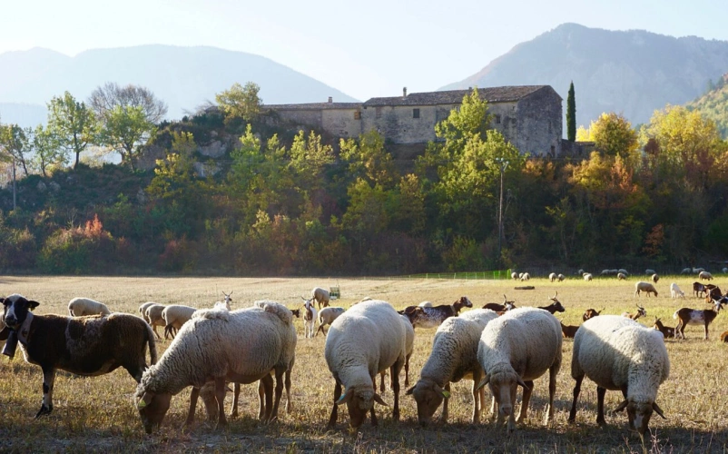 Photos 7 - Touristique - Propriété avec vue  panoramique