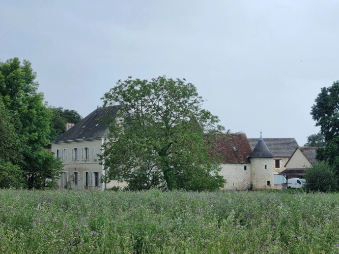 Photos 4 - Prestige - Charmant Manoir avec 73 ha de terres et bois