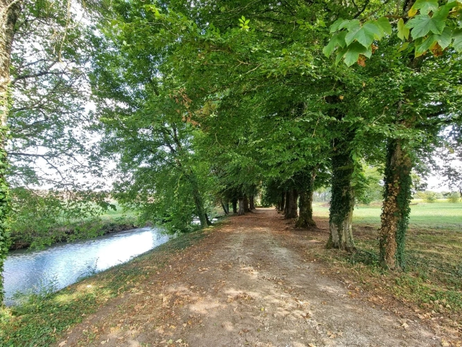 Photos 5 - Prestige - Charmant Manoir avec 73 ha de terres et bois