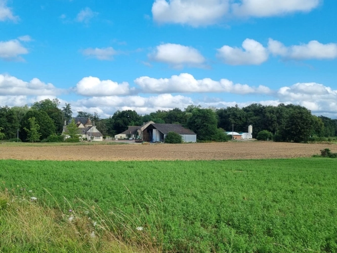 Photos 6 - Prestige - Charmant Manoir avec 73 ha de terres et bois