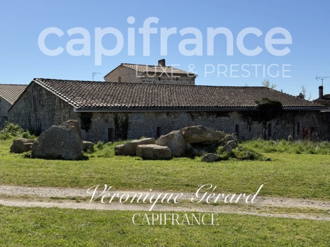 Photos 30 - Prestige - À Saint Christophe des Bardes. Propriété d’exception de plus de 310 M2 sur 4858 M2 de Terrain