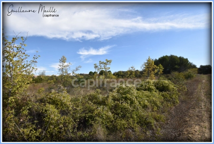 Photos 4 - Foncière - Terrains agricoles à vendre ROUJAN 13 660m²