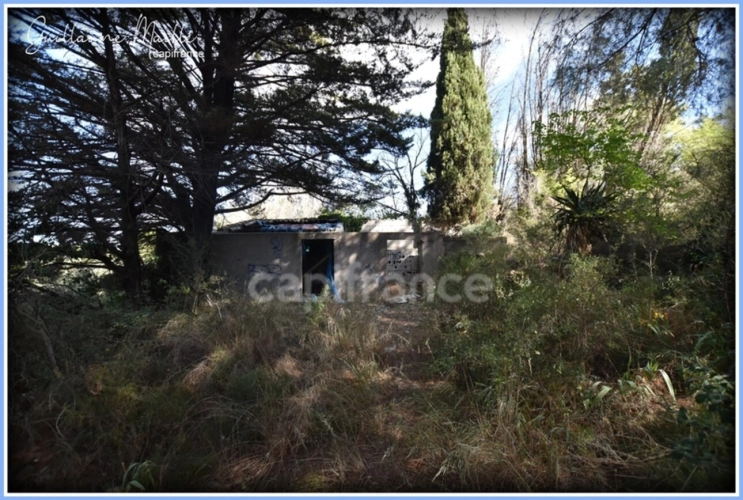 Photos 6 - Foncière - Terrains agricoles à vendre ROUJAN 13 660m²