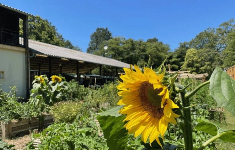 Photos 7 - Touristique - Maison