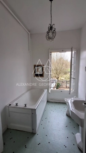 Photos 10 - Prestige - Château à 10 min de Tours de 500m2 sur un magnifique parc de 5ha