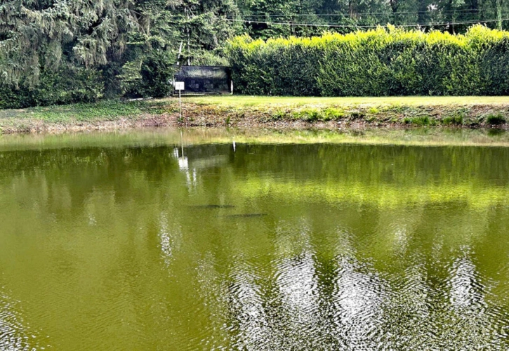 Photos 6 - Foncière - Terrain de loisirs avec un magnifique étang à vendre de 3 500,00 m² CUILLE (53)