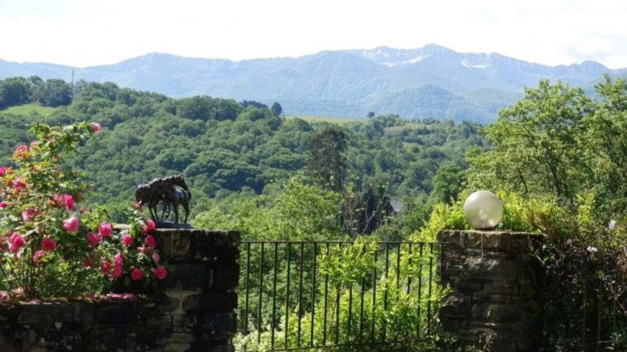 Photos 49 - Equestrian - Pau - Pyrénées-Atlantiques - 450m2 estate with 20 ha forest.