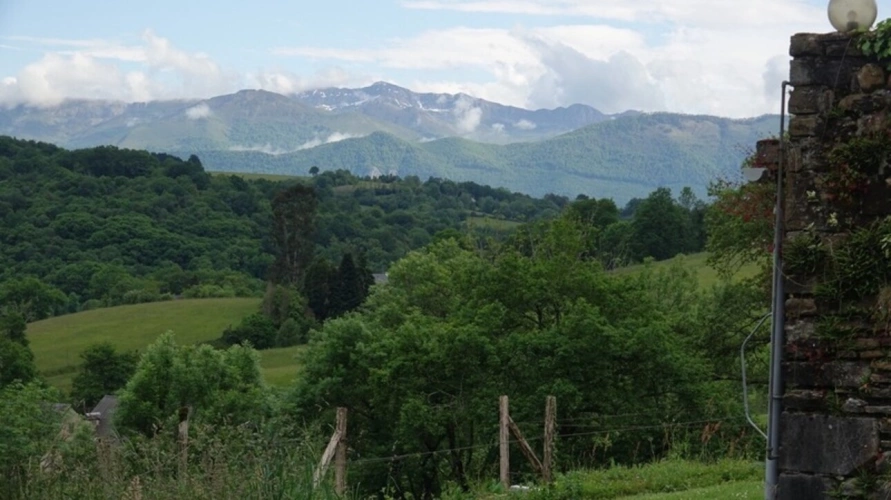 Photos 50 - Equestrian - Pau - Pyrénées-Atlantiques - 450m2 estate with 20 ha forest.