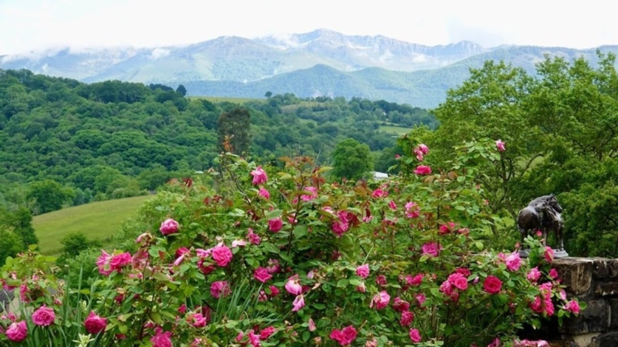 Photos 8 - Equestrian - Pau - Pyrénées-Atlantiques - 450m2 estate with 20 ha forest.
