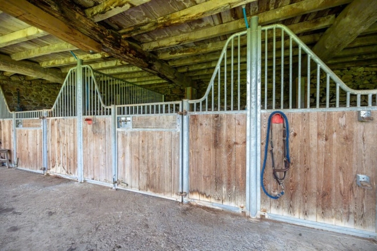 Photos 34 - Equestrian - Pau - Pyrénées-Atlantiques - 450m2 estate with 20 ha forest.