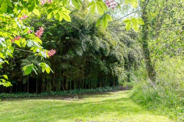 Photos 44 - Equestrian - Pau - Pyrénées-Atlantiques - 450m2 estate with 20 ha forest.
