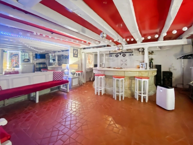 Photos 12 - Prestige - Dpt Vienne (86), à vendre à Thuré,  Maison de Maître 16 pièces 670m2-35720 m2