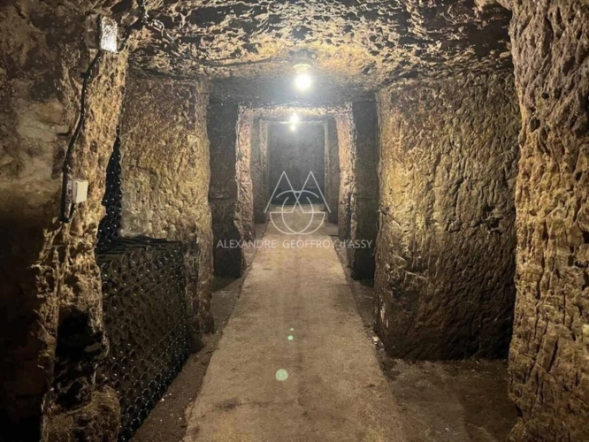 Photos 4 - Viticole - Rare opportunité… Vignoble en appellation Vouvray de 20 ha
