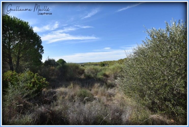 Photos 2 - Foncière - Terrains agricoles à vendre ROUJAN 13 660m²