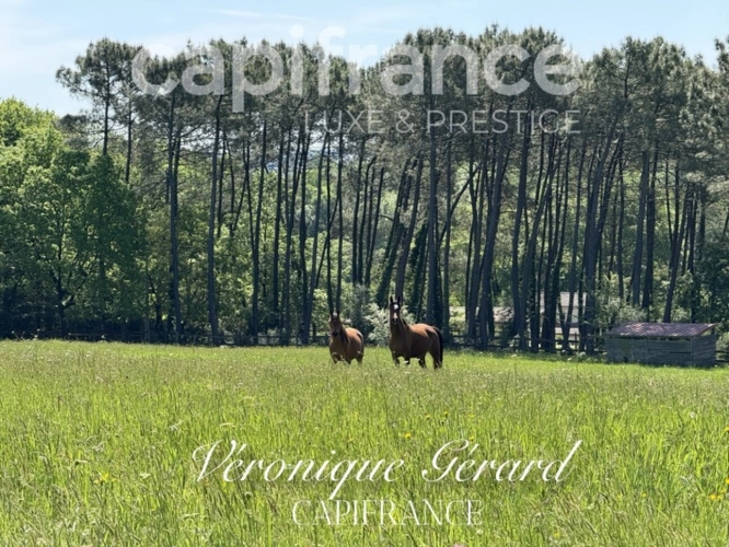 Photos 15 - Équestre - Propriété équestre de prestige de 187 M2 Longère et Installations Equestre à SALLEBOEUF