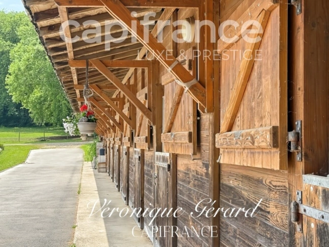 Photos 16 - Équestre - Propriété équestre de prestige de 187 M2 Longère et Installations Equestre à SALLEBOEUF