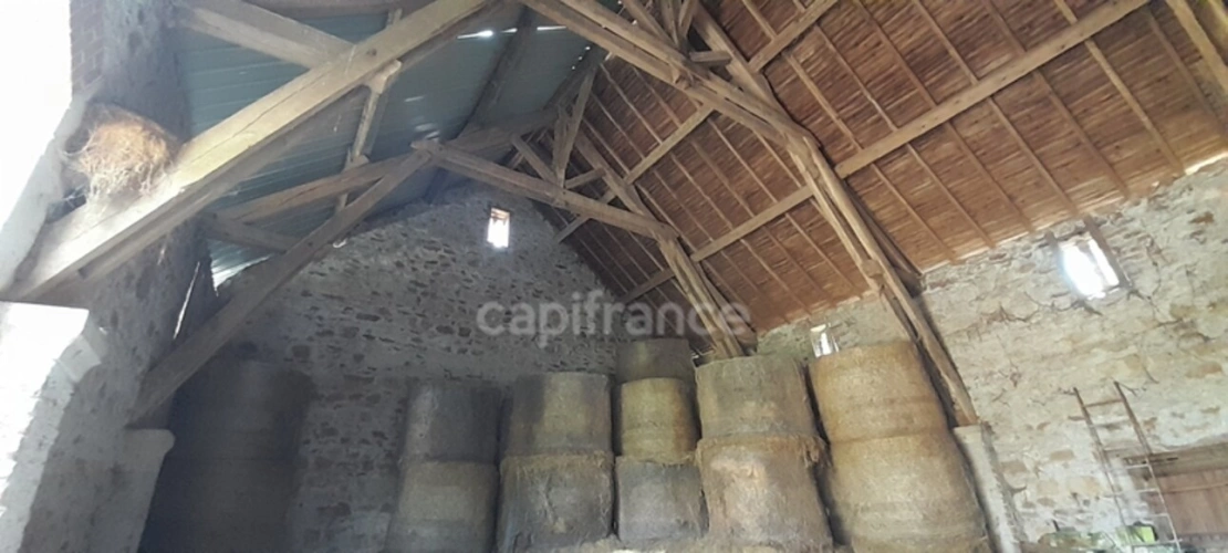 Photos 4 - Touristique - Propriete à vendre 5 pièces MONTVICQ (03)