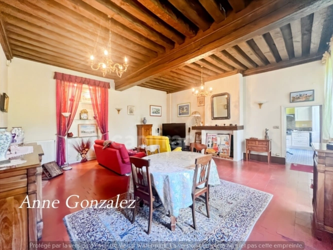 Photos 4 - Prestige - VITRY AUX LOGES, à vendre superbe Propriété du XIXème de plus de 300 m2, maison d'amis indépendante