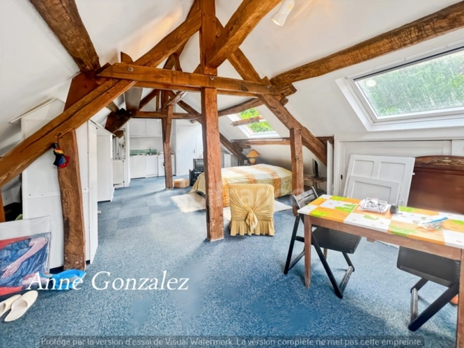 Photos 13 - Prestige - VITRY AUX LOGES, à vendre superbe Propriété du XIXème de plus de 300 m2, maison d'amis indépendante