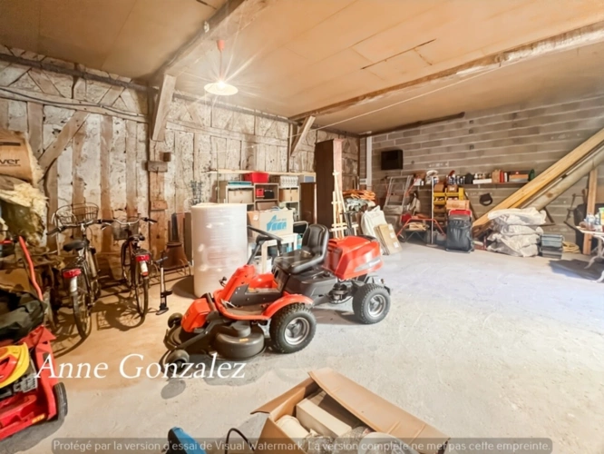 Photos 17 - Prestige - VITRY AUX LOGES, à vendre superbe Propriété du XIXème de plus de 300 m2, maison d'amis indépendante
