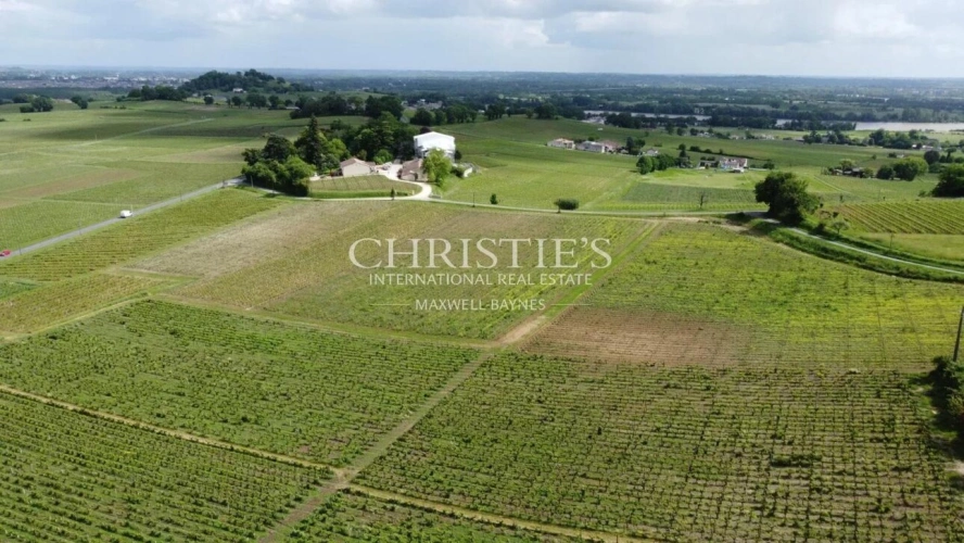 Photos 1 - Viticole - A vendre Vignoble de caractère de 15 ha - 2 AOC - en Libournais