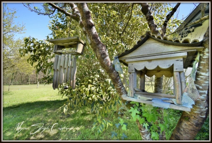 Photos 23 - Équestre - Dpt Landes (40), à vendre CAPBRETON Propriété de charme au calme