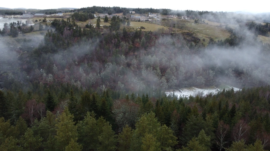 Photos 4 - Forestière - Investissement forestier – Aubrac (48)