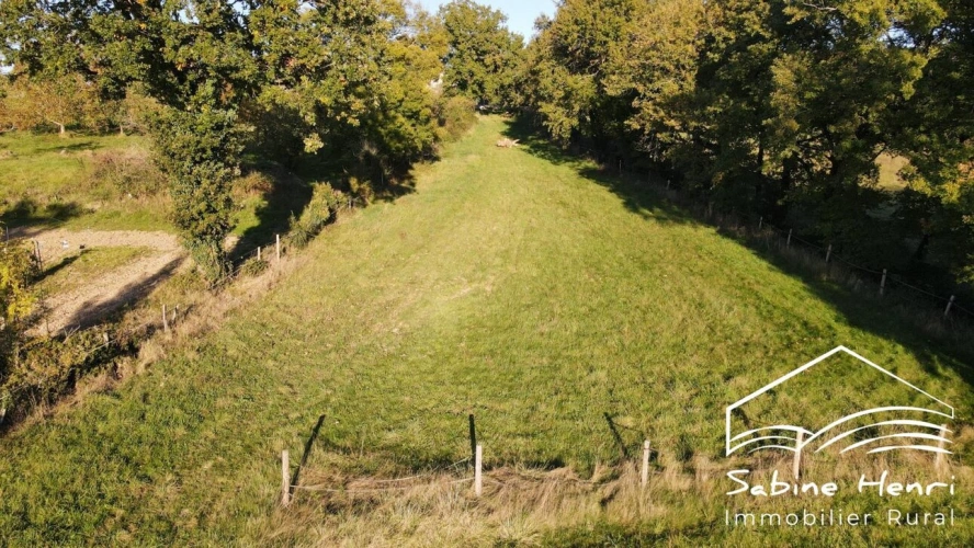 Photos 6 - Prestige - Maison de campagne sur plus de 3 ha
