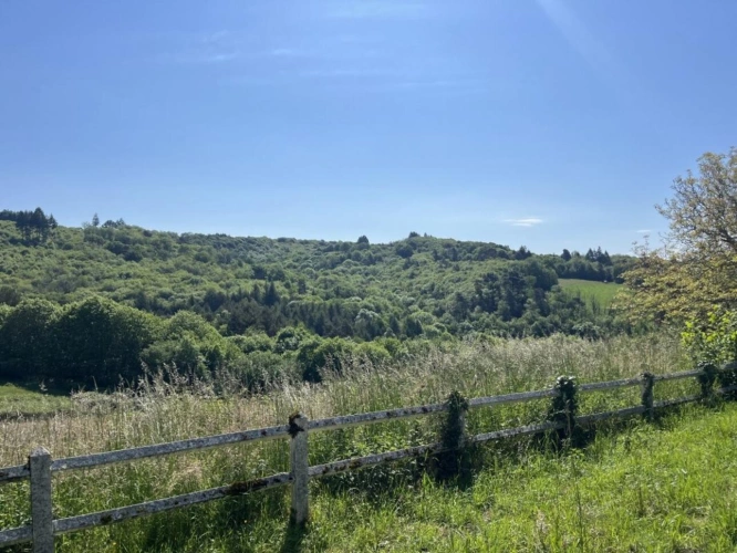 Photos 9 - Prestige - Propriété