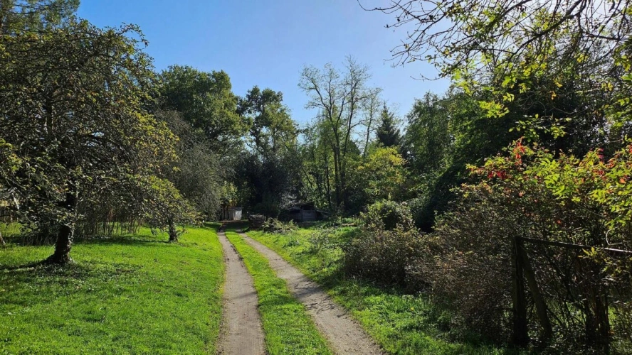 Photos 3 - Equestrian - Woodland – forest