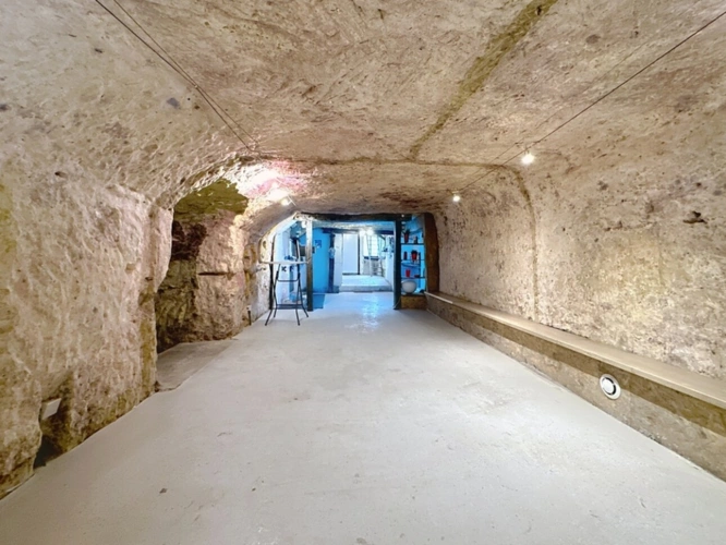 Photos 1 - Foncière - Terrain à vendre  MONTLOUIS SUR LOIRE (37)
