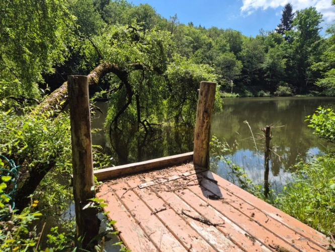 Photos 1 - Foncière - Deux beaux étangs, 6500 m2 d'eau pour pêche et loisirs sur un espace total de deux hectares de terrains