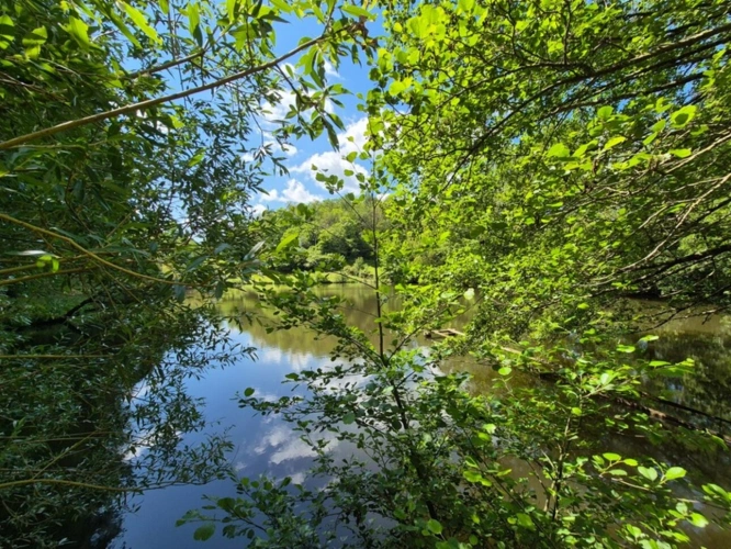 Photos 6 - Foncière - Deux beaux étangs, 6500 m2 d'eau pour pêche et loisirs sur un espace total de deux hectares de terrains