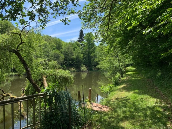 Photos 10 - Foncière - Deux beaux étangs, 6500 m2 d'eau pour pêche et loisirs sur un espace total de deux hectares de terrains