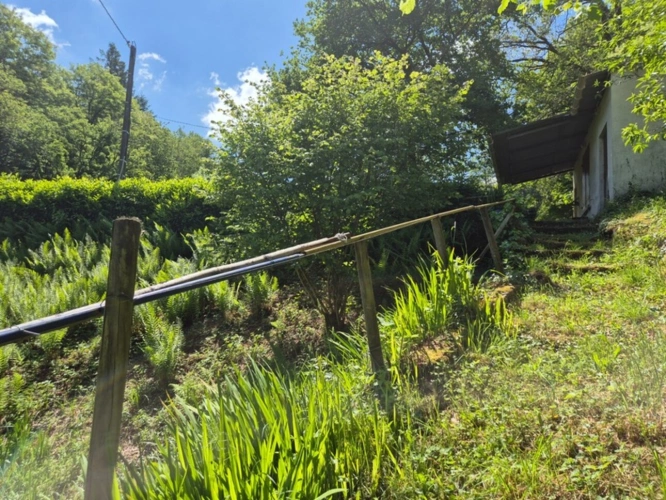 Photos 20 - Foncière - Deux beaux étangs, 6500 m2 d'eau pour pêche et loisirs sur un espace total de deux hectares de terrains