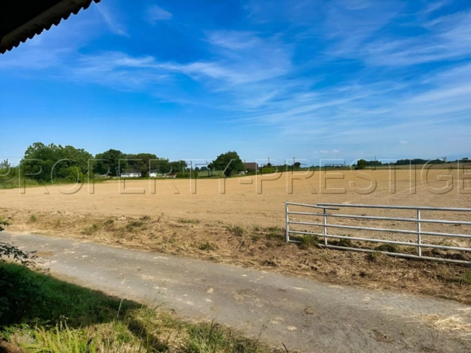 Photos 3 - Agricole - BEARN PROPRIETE 23 HA LACS