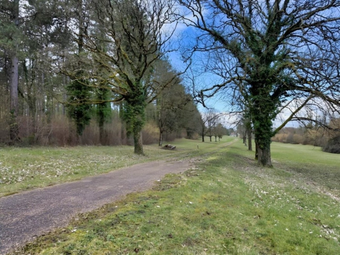 Photos 9 - Prestige - INDRE ET LOIRE DOMAINE D'EXCEPTION 46 HA