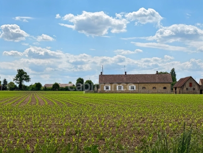 Photos 14 - Touristique - Propriéte à vendre  DOLLON (72) Corps de ferme environ 5 hectares