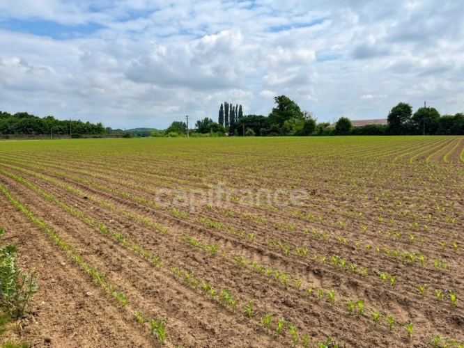 Photos 24 - Touristique - Propriéte à vendre  DOLLON (72) Corps de ferme environ 5 hectares