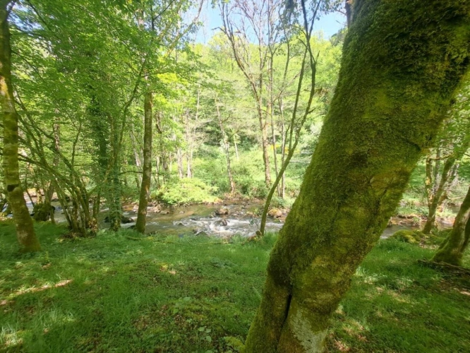 Photos 5 - Prestige - Moulin