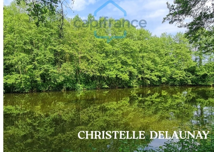 Photos 1 - Forestière - Fôret avec étang à Craon