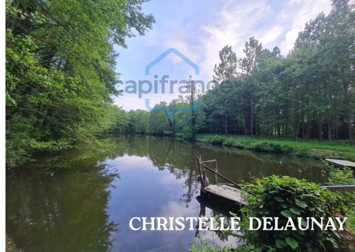 Photos 2 - Forestière - Fôret avec étang à Craon
