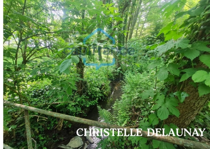 Photos 4 - Forestière - Fôret avec étang à Craon