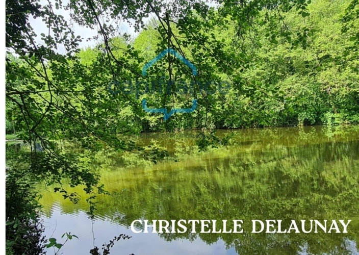 Photos 5 - Forestière - Fôret avec étang à Craon
